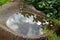 WATER REFLECTION IN MILLSTONE BIRDBATH