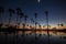 Water reflection of sugar palm While the sun is rising.