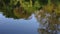 WATER REFLECTION OF TREES AND SKY. A soothing refection of nature reflecting off a lake, A dreamy perspective