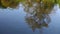 WATER REFLECTION OF TREES AND SKY. A soothing refection of nature reflecting off a lake, A dreamy perspective