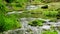 Water reflection. Tropical scenery. Slow shutter speed, motion.