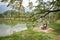 Water reflections in Taman Tasik, aka Lake Gardens, in the city of Taiping, Perak State, Malaysia