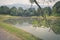 Water reflections in Taman Tasik, aka Lake Gardens, in Taiping, Perak, Malaysia