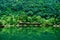 Water reflections of vegetation. Tropical green forest landscape view.