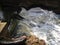 WATER IN A RIVER RUSHING DOWN A WEIR