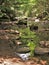 Water and Rocks in Cades Cove