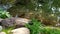 Water at the rocky shore. Reflection of sunlight on the water surface. Beautiful pond in the garden. Ripples on the water