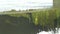 Water running down a weir. underwater plants visible.