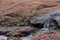 Water running over rocks and eroding over time