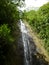 Water runs down Manoa Falls waterfall