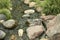 Water runs over the stones. Fresh water stream