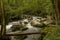 Water Rushing Through Big Creek Over Mossy Boulders