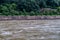 Water rushing downriver after torrential rainfall
