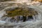 Water rushing over a rock in a river or stream after a heavy rain.