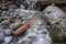 Water rushing over rocks and logs in a mountain stream