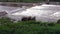 Water rushing over spillway in flooded river