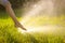 Water shed splashes and bokeh from watering in summer garden with sprinkler on grass lawn and tree background