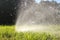 Water shed splashes and bokeh from watering in summer garden with sprinkler on grass lawn and tree background