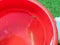 water skater in a children`s red plastic bucket, children study the animal world