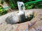 Water in small fountain flowing up high from pipe and form interesting different shape, it is captured in high shutter speed