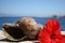 Water snail shell and red hibiscus flower Greece