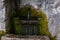 A water source in the masonry overgrown with green moss