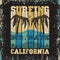 Water sport, Surfing California, big wawe surfing
