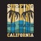 Water sport, Surfing California, big wawe surfing