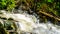 Water from the spring snow melt tumbling over Logs and Boulders on Mcgillivray Creek between Whitecroft and Sun Peaks