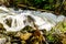 Water from the spring snow melt tumbling over Logs and Boulders on Mcgillivray Creek between Whitecroft and Sun Peaks