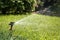 Water sprinkler pours lawn grass