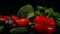 Water sprinkling on fresh organic vegetables at black background close-up. Closeup healthful homegrown bell pepper