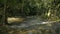 Water stream flowing from cascade over the rocks through green plant under sunlight in fertile forest.