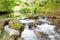 Water stream in forest