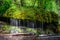 Water stream moss waterfall forest scenery spring