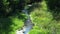 Water stream with nature sounds flowing through the beautiful summer forest