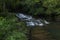 Water Stream near Ancient Living root Bridge near Cherrapunji, Meghalaya,India,