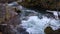 Water stream of the north Umpqua river with rocks around and plants in Oregon, near toketee Falls