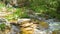 Water stream between sedimentary rocks