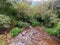 A water stream at a village in India