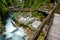 Water stream and wooden path in Vintgar gorge, Bled, Slovenia