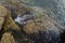 Water surface flowing through the rocks coastal in Australia ocean.