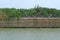 The water surface landscape is mangrove forest and there is a bamboo wall dividing the fence.