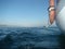 Water surface. Sailing regatta on the Irkutsk reservoir.