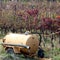 water tank to irrigate the vines and the grapes during the summer season