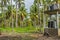 Water tanks and palm tree plantation, Parque EcoturÃ­stico. Zihuatanejo, Mexico