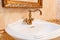 water tap and washstand in retro style. vintage interior.
