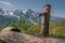 Water tap in a wooden stump in Grossglockner Austria