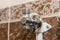 Water taps for connecting a boiler on tiled wall. The faucet with connected pipes is mounted on the wall. Close up