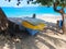 A water taxi tied to a manchioneel tree at princess margaret beach